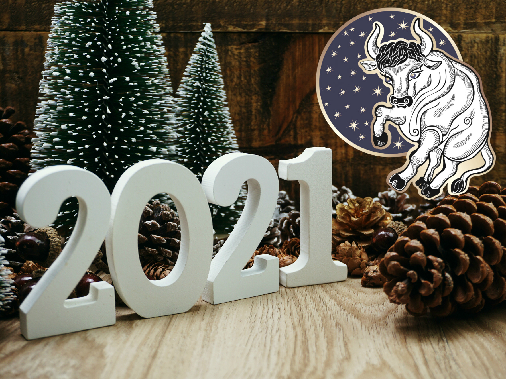 «Год девочек»: прогноз на 2021 год по китайскому календарю